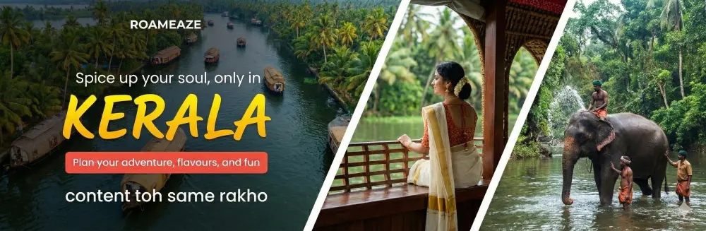 Kerala Full of Nature, Backwaters, and Palm Trees