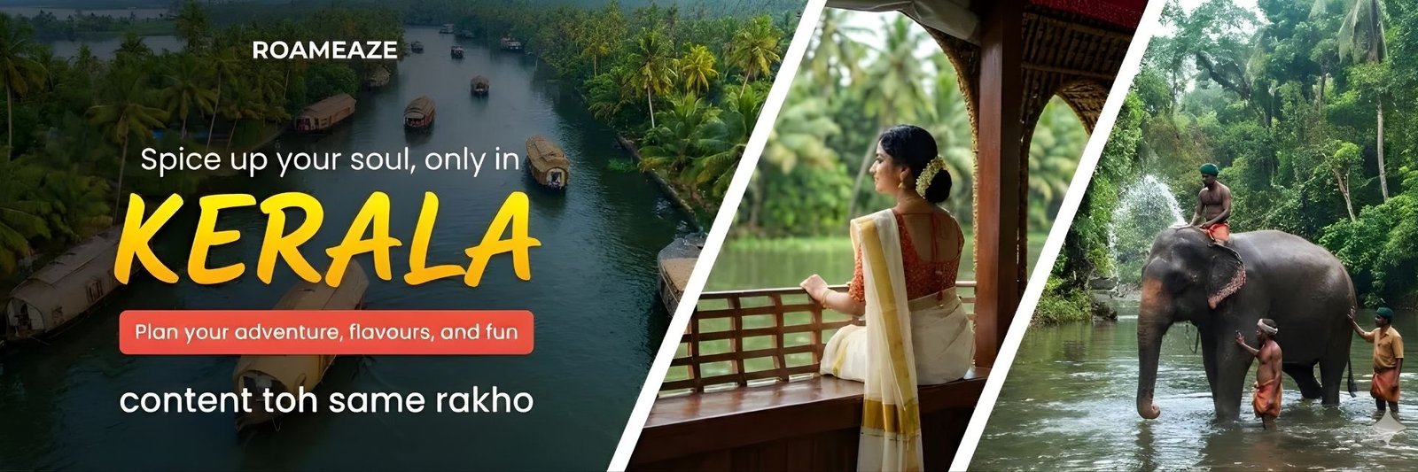 slides_raomeaze1 (1)