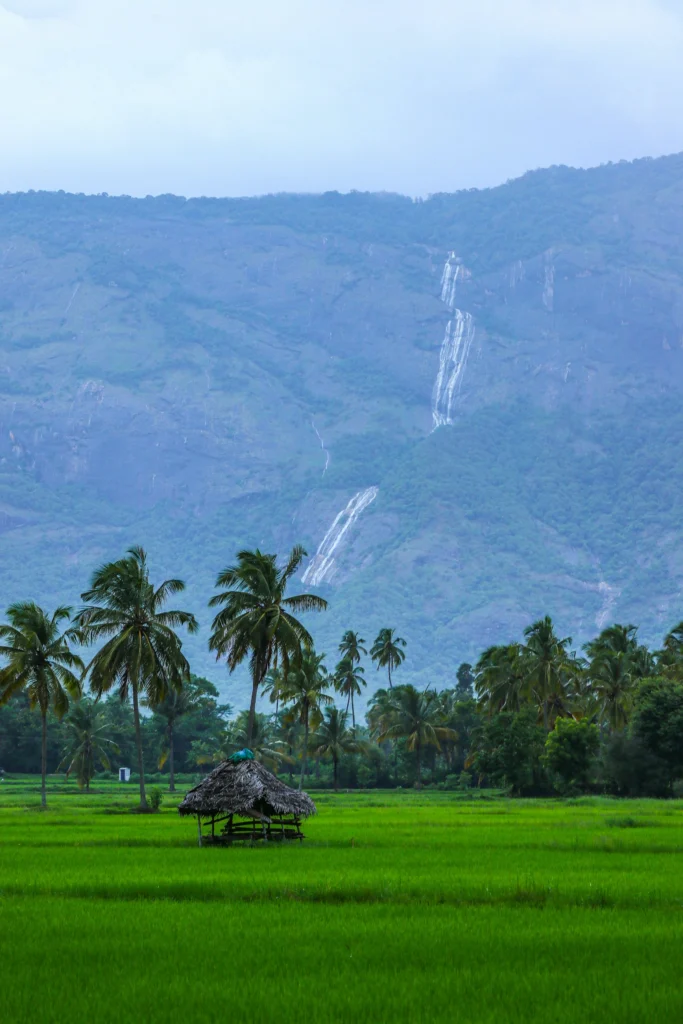 Discover Kerala’s peaceful countryside, tropical greenery and beautiful waterfalls with Roameaze.