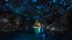Blue glowworms illuminating the Waitomo Caves above an underground river in New Zealand