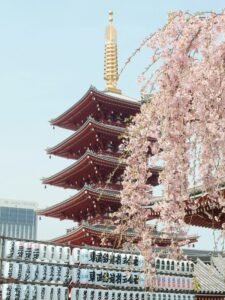 India to japan travel package-roameaze