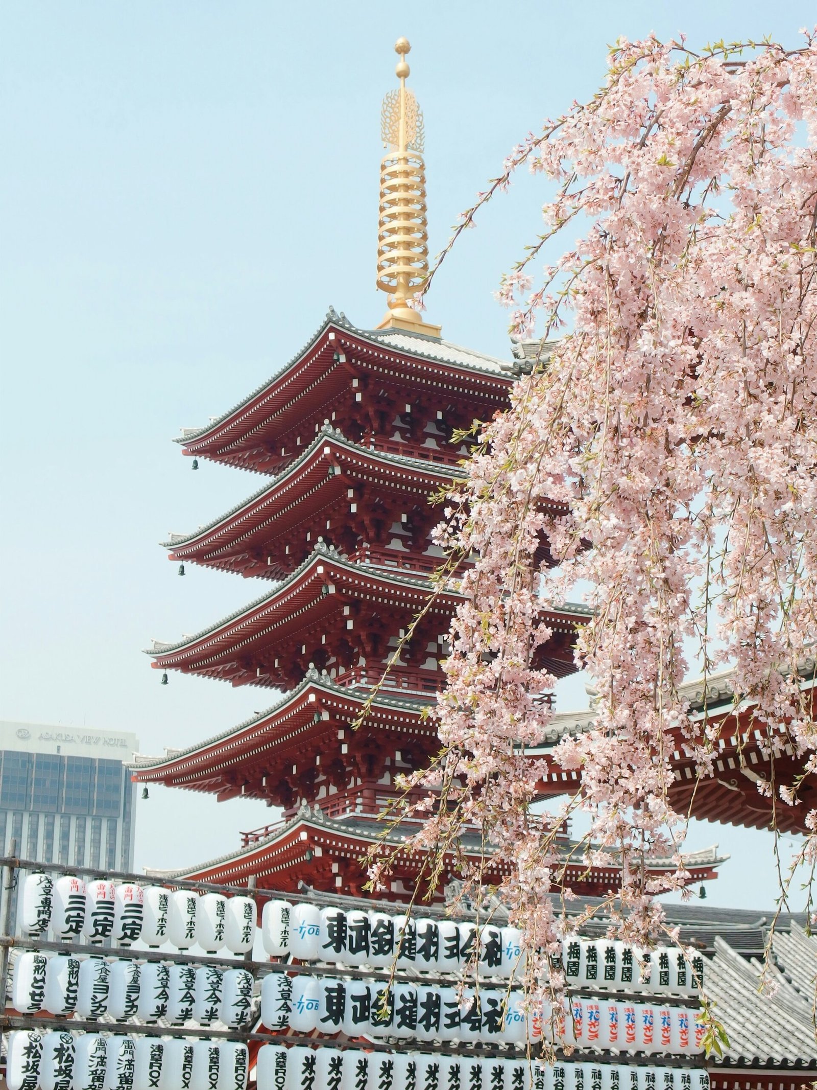 10-Day Japan Itinerary from India: Tokyo, Kyoto and Osaka